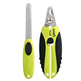 Pecute Tagliaunghie Cane E Lima Unghie Professionale in Acciaio Inossidabile per Cani Medi e Grandi: Amazon.it: Prodotti per ani