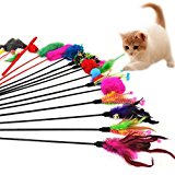 Westeng, Cannetta con piume, gioco divertente per gatti con campanellino, 4 pezzi (colore casuale): Amazon.it: Prodotti per anim