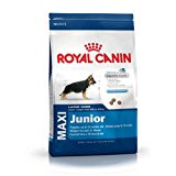 Royal Canin Alimento Cane Maxi Junior - 15000 gr: Amazon.it: Prodotti per animali domestici