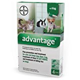 Bayer 84329097 Advantage Spot On Gatto: Amazon.it: Prodotti per animali domestici