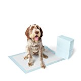 AmazonBasics - Tappetini assorbenti per animali domestici, extra-large: Amazon.it: Prodotti per animali domestici
