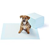AmazonBasics - Tappetini igienici assorbenti per animali domestici, misura standard, 50 pz: Amazon.it: Prodotti per animali dome
