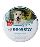 BAYER - Seresto Collare Cani Fino 8 Kg: Amazon.it: Prodotti per animali domestici