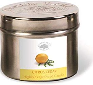 GREEN TREE CANDLE 0805460312447 Citrus Cedar Candela profumata
