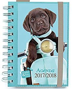 Agenda escolar 2017-2018 Studio Pets Dog (in portoghese)