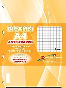 Cartiera di Varese RI41511 Ricambio Antistrappo
