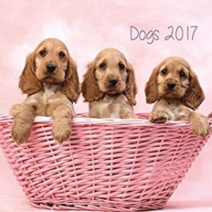 Gruppo Erik Editores Dogs- Calendario 2017, 24 x 24 cm