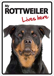 Magnet & Steel Rottweiler Lives Here A5 Sign