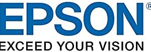 Epson Workforce Enterprise WF-C20600 Cya