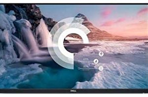 DELL P2219H-WOST [BEZ STOPY]