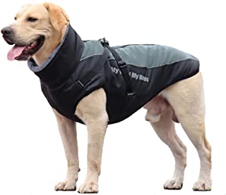 FEimaX Cappotto Invernale Impermeabile per Cani, Giacca Caldo di Peluche Antivento Cucciolo Gilet Riflettente Abbigliamento Inve