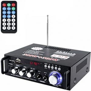 Etlephe Amplificatore Audio, Amplificatore HiFi, Amplificatore Bluetooth 5.0, 12V 220V Schermo LCD Hi-Fi 600W 2CH, Radio FM Portatile Scheda SD/Ingres