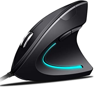 ECHTPower Mouse Portatile, Mouse Verticale, Mouse Wireless, Design Ergonomico, DPI Regolabili, 6 Pulsanti - Protegge Il Braccio