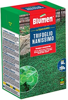 Blumen Prato Trifoglio Nano, Verde